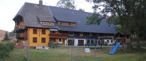 Griesbachhof mit grossem Hofplatz und Spielwiese / Griesbachhof-Schwarzwald