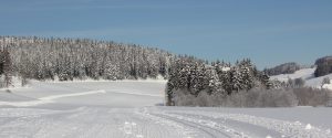 Loipe im Jostal 100 Meter vom Griesbachhof entfernt / Griesbachhof-Schwarzwald