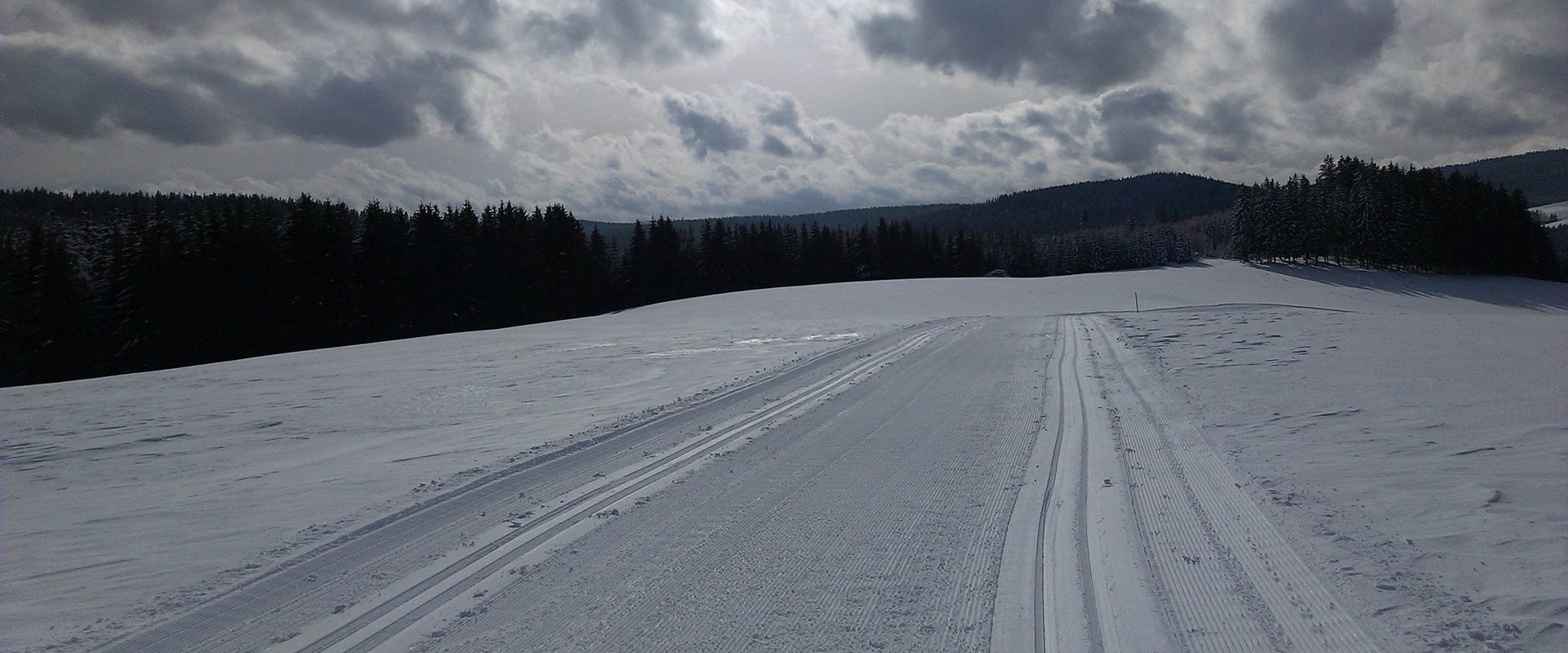 Loipe im oberen Jostal / Griesbachhof-Schwarzwald