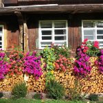 Ferienhaus Außenbereich im Sommer: Blumen und Feuerholz an der Südfassade