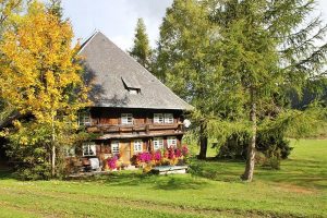 Ferienhaus Außenbereich im Sommer: Das Häusle wird von 2 herbstlichen Bäumen flankiert