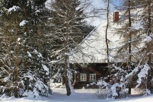 Ferienhaus Außenbereich im Winter: das verschneite Häusle hinter schützenden Bäumen