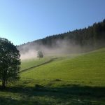 Morgendunst am Waldrand beim Griesbachhof