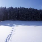 Gelungene Skispur am Winterberg