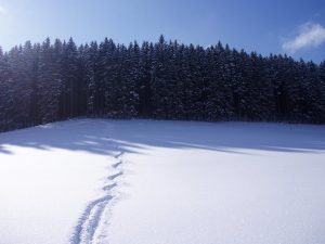 Gelungene Skispur am Winterberg