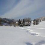 Blick auf die verschneite Schildwende mit Griesbachhof