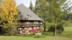 Vorschaubild: Ferienhaus im Herbst / Griesbachhof-Schwarzwald-Ferien