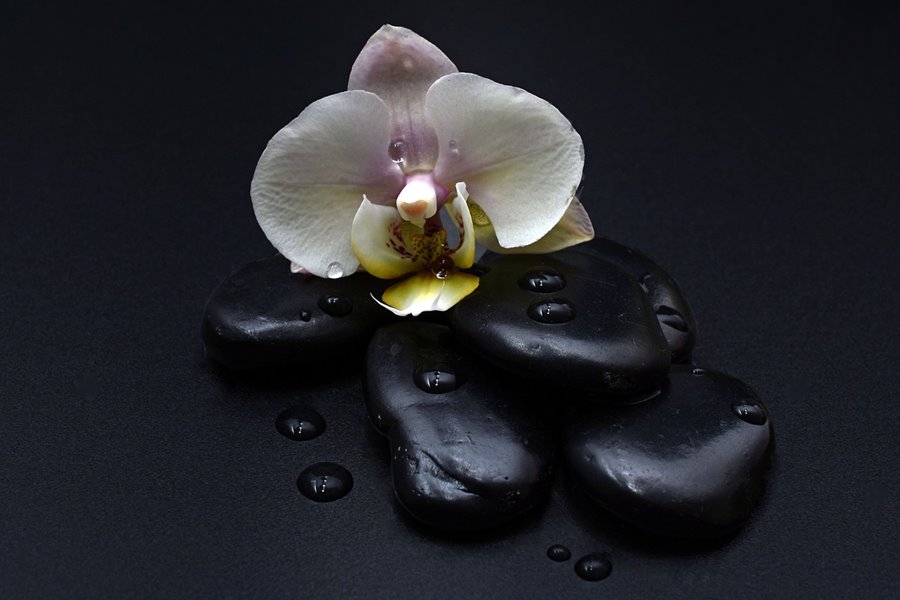 Freizeit Attraktion: heiße Steine mit Orchidee