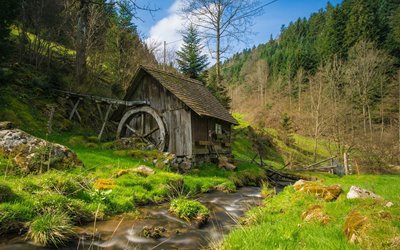 Tradition Attraktion Erlebnisbox M hle Im Schwarzwald Griesbachhof
