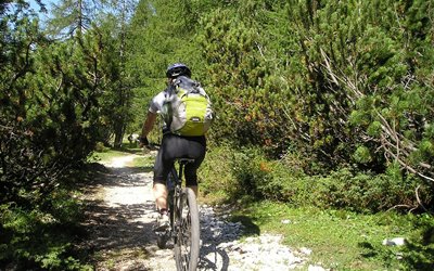 Sport im Sommer Erlebnisbox: Mountainbiken durch idyllische Wälder
